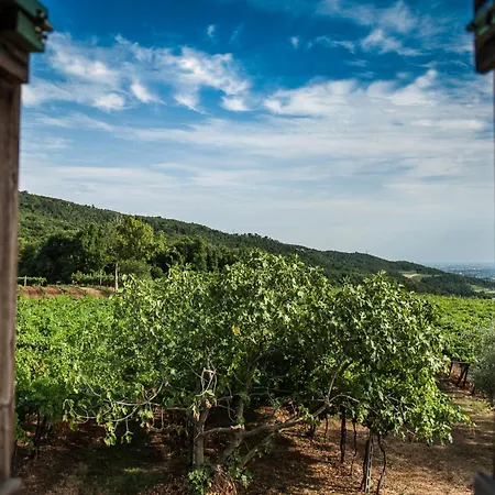 Agriturismo Canova *